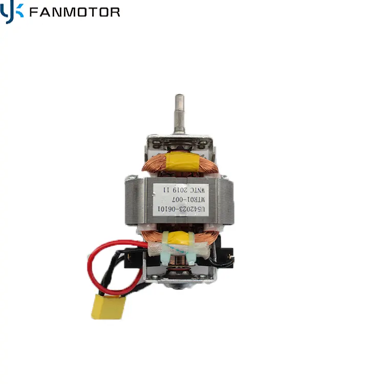 AC 220V 600W/700w 믹서 식물성 주스 음식 기계를 위한 고속 보편적인 모터