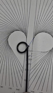 Ureteroscopio Flessibile Digitale per Urologia 7.5Fr 400*400p con Canale da 1.2mm per Uso Veterinario - Product Image 2