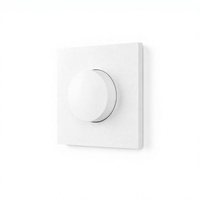 Bilihondim EU Matter Over Thread Wall Switches Rotary Smart Dimmer 200W 1 Channel Wireless Remote Control Used for Chandelier