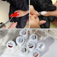 Vernis Gel UV Personnalisé en Gros avec Logo, 10g, pour Dessin et Peinture, Étiquette Privée, Styles Variés pour Nail Art, Gel Créatif pour Peinture sur Ongles