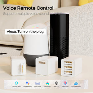 TY-SW-USB Tuya Wifi / Zigbee Minuteur intelligent compatible avec Alexa et Google Home Adaptateur intelligent USB Wifi - Product Image 2