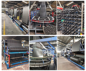 Toile <span class=keywords><strong>anti</strong></span>-mauvaises herbes pour l'agriculture, perméable à l'eau, <span class=keywords><strong>anti</strong></span>-racines, tissu pour couverture de sol en serre, maille - Product Image 5