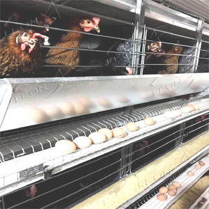 Jaulas para Gallinas Ponedoras Tipo H Galvanizadas, Nuevo Diseño, Gran Venta, para Granjas Avícolas - Product Image 2