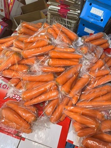 Trung Quốc Mùa giải mới Hữu Cơ tươi Cà rốt 4kg 10kg carton gói xuất khẩu Trung Quốc trái cây màu Đỏ cà rốt rau nhà sản xuất - Product Image 5