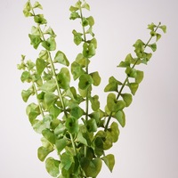Vente en gros de fleurs artificielles 3D Real Touch Cloches de verdure Irlande Moluccella Laevis Arrangements floraux pour mariage Saint Valentin