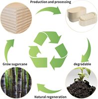 Boîte à lunch jetable biodégradable et sans danger pour le congélateur pour le stockage de la préparation des repas