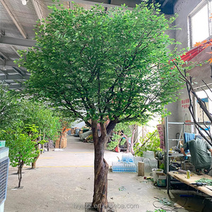 En stock Arbre artificiel Arbol Artificial, grand arbre artificiel vert (<span class=keywords><strong>olivier</strong></span>, banian) pour hôtel, salon, maison - Product Image 5