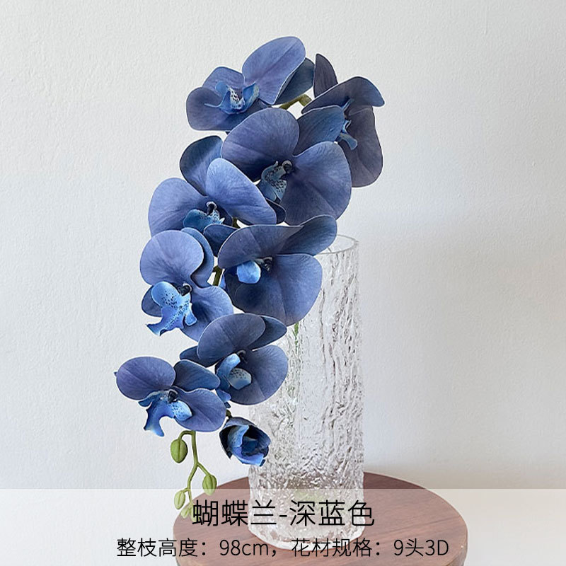 Phalaenopsis 3D blu scuro