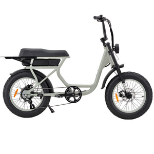 Bicicleta Eléctrica de Aluminio OEM/ODM con Motor sin Escobillas de 750W-1500W y 8 Velocidades, Frenos de Disco Dobles, Batería de Litio B-Long - Product Image 1