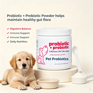 Polvo de Sabor a Pavo OEM para el Apoyo a la <span class=keywords><strong>Colitis</strong></span> en Perros, Polvo Probiótico - Product Image 2