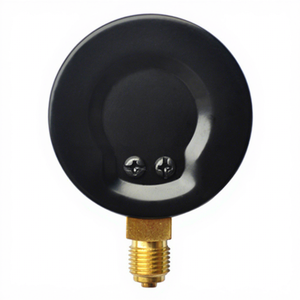 काले स्टील शरीर डबल सुई मेमोरी दबाव नापने का यंत्र - Product Image 3