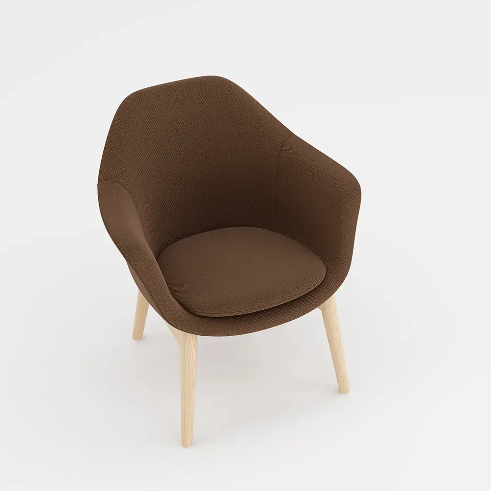 สีน้ำตาล