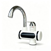 Robinet d'eau chaude électrique à chauffage rapide 220V 3000W/3500W avec buse isolée en acier inoxydable, utilisation autonome pour la maison et la voiture