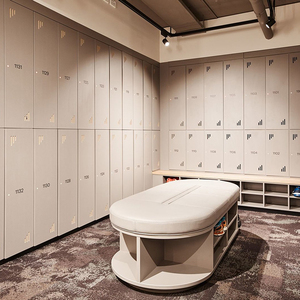 Modern Durable Waterproof Steel Storage <strong>Locker</strong> Metal <strong>Lockers</strong> Ski Slope Cabinets Wardrobe Staff Worker Gym School <strong>Lockers</strong>