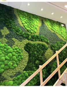 Real Natural Green Preserved Pole <strong>Moss</strong> Pillow <strong>Bun</strong> Cushion <strong>Moss</strong> Frame Art DIY Kit Terrariums Gardening Art Wall Decor - Product Image 2