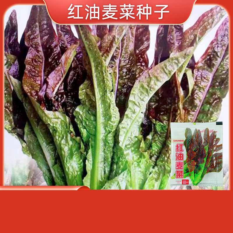 6# Épinards rougeurs croustillants à l'huile 01