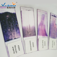 Blood Prepared Slide Set Blood Microscope Slide Hematology Prepared Hematology Prepared Slides
