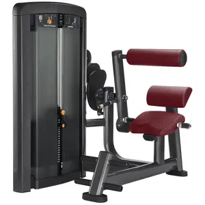 Wholesale gym pin loaded equipment Adjustable Seated Back Extension machine for sale
