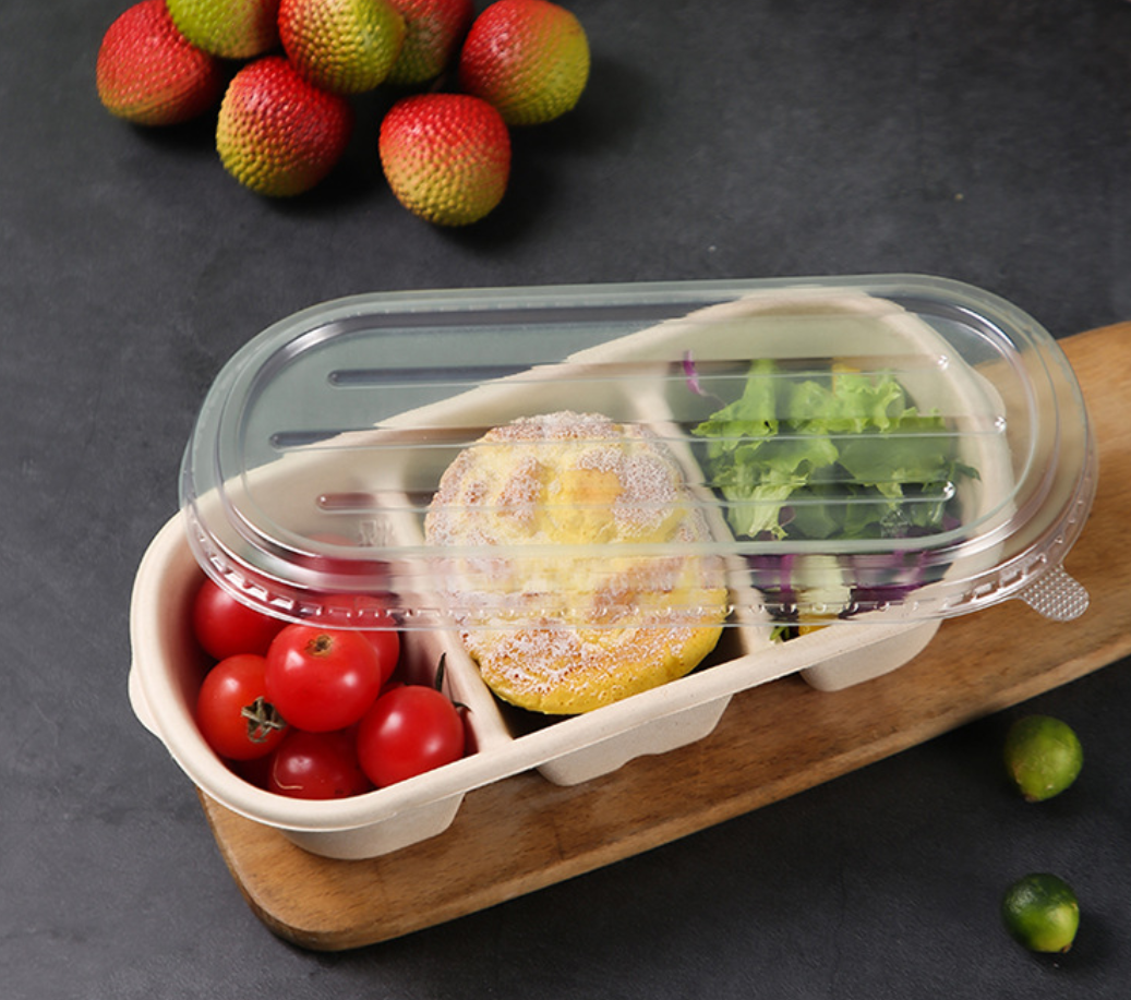 Eco-Friendly Paper Pulp Sugarcane Pulp Tableware, Biodegradable Disposable Plates Bowls Take Out Food Containers Without Lids