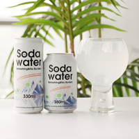 Vente en gros à bas prix 330ml de boisson gazeuse en conserve sans alcool à saveur de fruit eau gazeuse boisson gazeuse soda