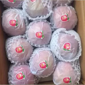 Produsen kertas tisu pembungkus buah kustom kantung kertas pelindung Kraft harga rendah untuk buah