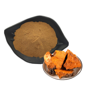 100% 최고급 <span class=keywords><strong>10</strong></span>:1 다당류 차가버섯 추출 분말 - Product Image 1