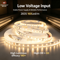 Bande LED flexible haute luminosité DC24V IP20 160 LED/m SMD2835, température de couleur 3000K-6000K, corps en cuivre, éclairage paysager