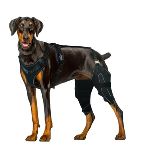 Harnais Confortable pour Chien Noir Réglable – Gilet de Protection pour Chiens Grands, Moyens et Petits – Promenades Sans Stress - Product Image 3
