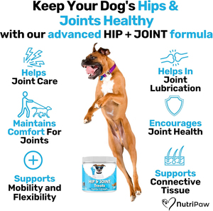 Migliori mastica naturale anca e articolazione morbida per cani elettitina multivitaminica per cani tratta facile da masticare e digeribile - Product Image 2