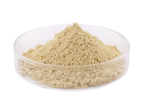 Hot Sell Lebensmittel qualität Kaffeesäure pulver - Product Image 3