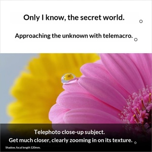 Per <span class=keywords><strong>Xperia</strong></span> <span class=keywords><strong>1</strong></span> VII Orchid Purple 16GB/512GB CDMA Snapdragon Smartphone Sbloccato XQ-FS44 V3JPCX0 [Distributore Ufficiale Giapponese] - Product Image 5