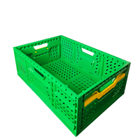 Caisses de légumes pliables légumes agricole en plastique pliable stockage stocké caisse ventilée pour la ferme