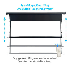 Pantalla de Cine Eléctrica para Techo, Sin Arrugas, Ideal para Uso en Casa, Oficina, Cine en Casa y Televisión - Product Image 2