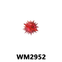 WM6212 Juguetes de Anime, Son Goku Vegeta Ball, Mini Bloques de Plástico, Juguetes Educativos para Niños, Sets de Construcción, Juguetes Infantiles