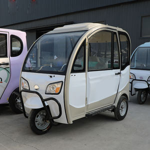 家用<span class=keywords><strong>2</strong></span>门650W乘客三轮车关闭体型三轮摩托车迷你电动车成人日常通勤 - Product Image 2
