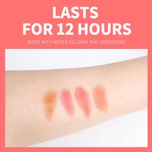 Tinte de labios pigmentado de alto brillo y brillo de labios desnudo Fabricante Etiqueta privada Tinte de labios satinado - Product Image 3