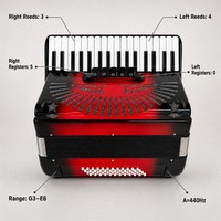 Accordéon portable en bois professionnel à 34 touches et 60 basses, instrument de musique pour examens et performances, fourni directement par l'usine