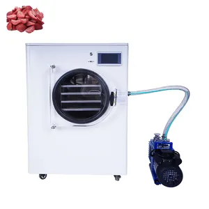 Vacuum Freeze Drying Equipment Laboratory Freeze Dryer Fish Freeze Dryer
