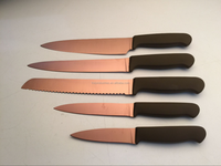 Ensemble de couteaux de cuisine en acier inoxydable de qualité supérieure revêtus de titane 5 pièces avec manche en bois Pakka ou en bois naturel