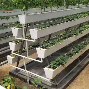 Een type frame-kas voor hydroponische aardbeienteelt - Product Image 1