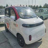 NUEN Mini-voiture électrique 3kW pour adultes, micro-VE 4 roues, 45 km/h, autonomie 80 km, batterie au plomb, entièrement fermée, directement d'usine