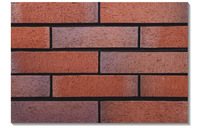 Pierre de construction d'avion, façade, mur extérieur, clinker, argile, brique, glissades, carreaux, prix des cheminées