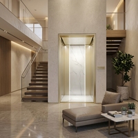 Ascenseur de villa à cadre en acier inoxydable, personnalisable, capacité de charge de 400 kg pour 2-3 passagers, ascenseur domestique intelligent