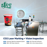 Machines de marquage laser CO2 haute vitesse avec système d'inspection par vision et de rejet automatique pour la ligne de production d'emballages alimentaires