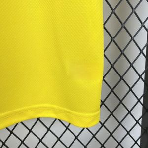 Camisetas de Fútbol Retro BR Clásicas de Tailandia al por Mayor para Adultos, de Alta Calidad, Baratas y Populares, Camisetas de Fútbol Vintage Personalizadas para el Hogar - Product Image 2