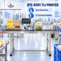 Imprimante jet d'encre TIJ IPS-8101 facile à utiliser pour l'impression de codes de lot et de dates d'expiration sur les sachets en plastique, les sacs alimentaires et les étiquettes