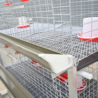 Nouveau système de cages à poulets de chair de type H pour poulets en batterie, cages à poulets à nettoyage manuel