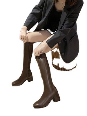 สีน้ำตาล