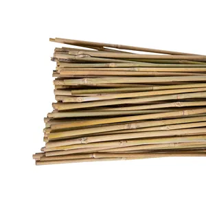 Hyh Eco Friendly Processed Natural Bamboo Cane For Garden