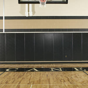 Tappetino da parete per palestre protezione da parete per palestra MMA tappetino da parete per campo da basket - Product Image 2